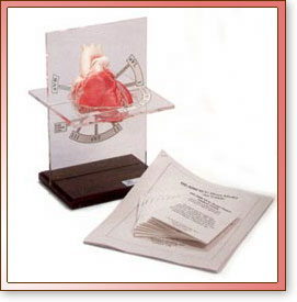 Corazon ECG