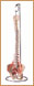 Columna Vertebral Flexible